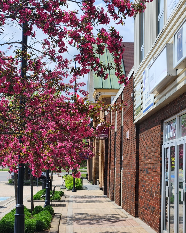 High Street Flowers